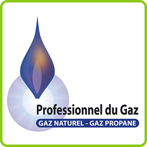 Logo Professionnel du Gaz